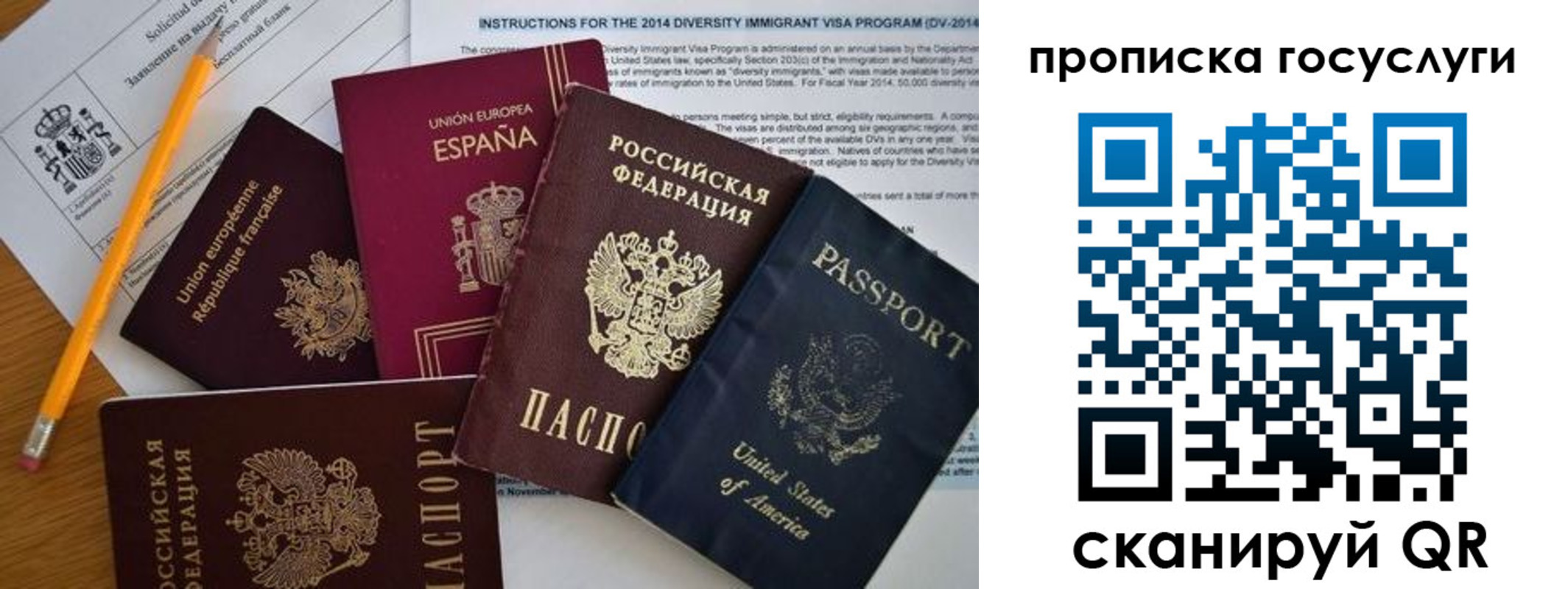 прописка гарантия в Камчатском крае